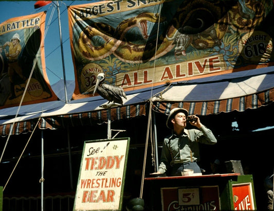 1941 Sideshow Barker Vermont State Fair Vintage Print 300 Piece Jigsaw Puzzle