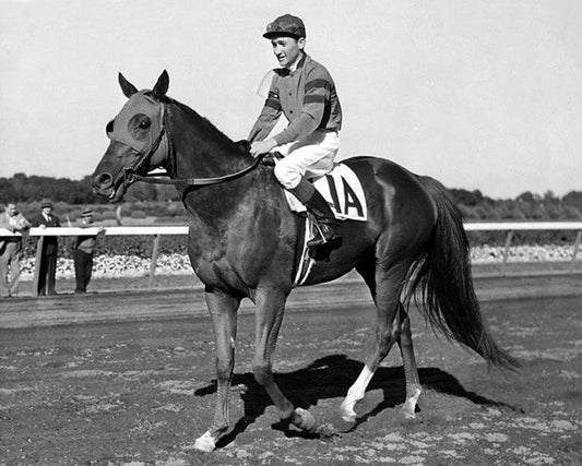 1941 Triple Crown Champion Whirlaway Glossy Photo Thoroughbred Print 2