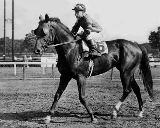 1943 Triple Crown Champion Count Fleet Glossy Magnet Thoroughbred Print