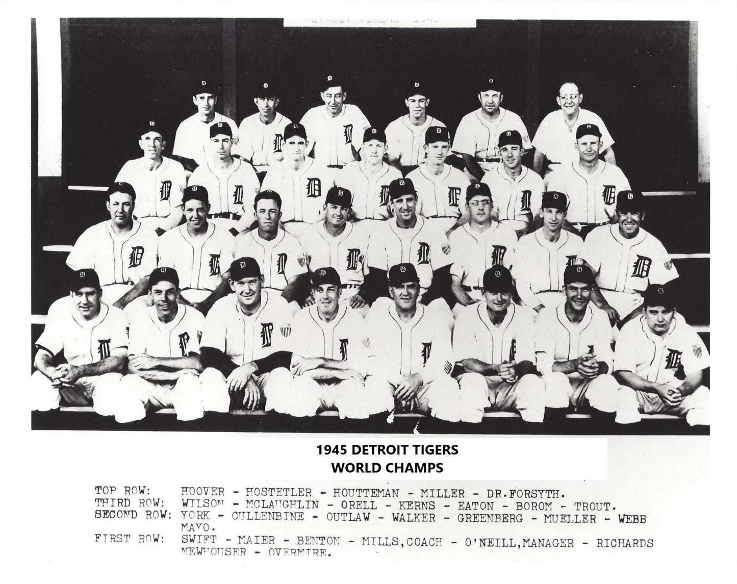 1945 Detroit Tigers Team Magnet Baseball Picture World Champs Mlb