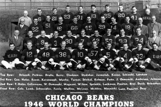 1946 Chicago Bears Team Magnet Football Picture Nfl World Champs