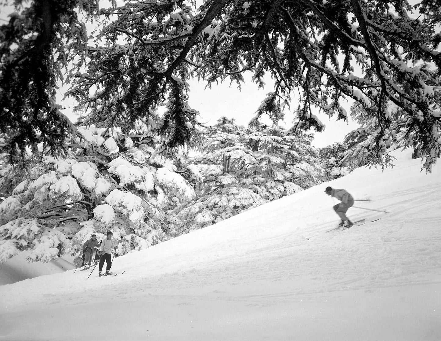 1946 Skiing On The Mountain Slope Old Photo Picture Print Reprint