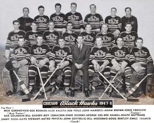 48 Chicago Blackhawks Team Magnet Picture Nhl Hockey Blackhawks
