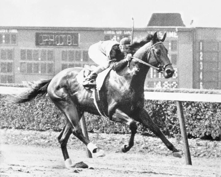 1948 Belmont Stakes Citation Glossy Keychain Print Triple Crown Winner Keychain 1