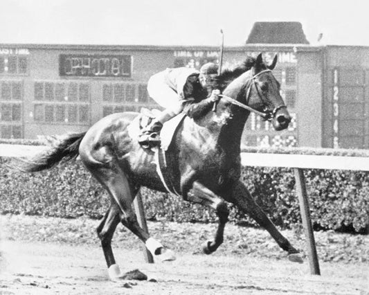 1948 Belmont Stakes Citation Glossy Keychain Print Triple Crown Winner Keychain 1