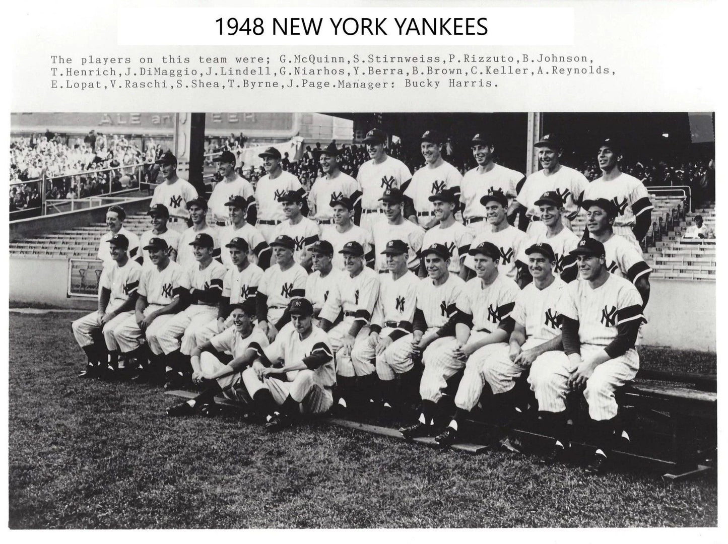 1948 New York Yankees Team Photo Baseball Mlb Picture Ny 300 Piece Jigsaw Puzzle