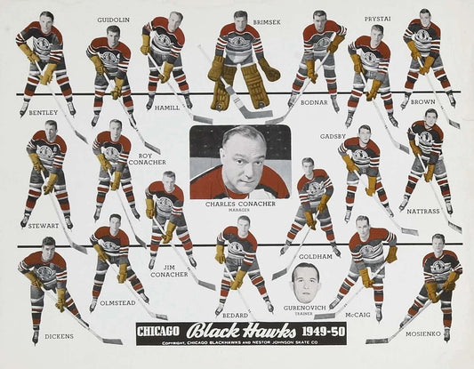 50 Chicago Blackhawks Team Photo Picture Nhl Hockey Black Hawks
