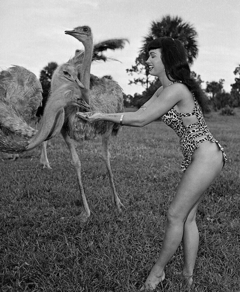 1950S Actress Model Bettie Page Safari Pin Up Print 300 Piece Jigsaw Puzzle