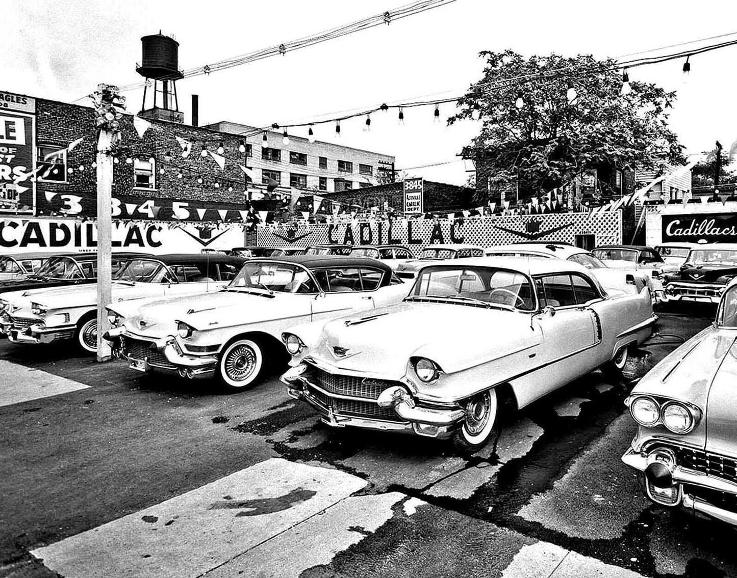 1950S Cadillacs On Dealership Parking Lot Classic Car Magnet Magnet