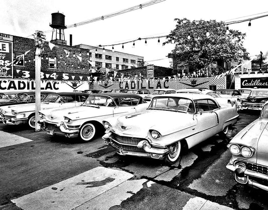 1950S Cadillacs On Dealership Parking Lot Classic Car Poster Photo