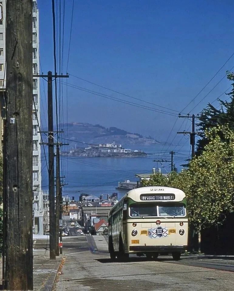 1950S San Francisco Bus Public Transportation Classic Retro Picture Photo
