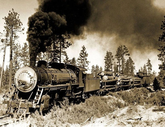 1951 Long Bell Lumber Company Train Tennant Ca Picture Magnet Magnet