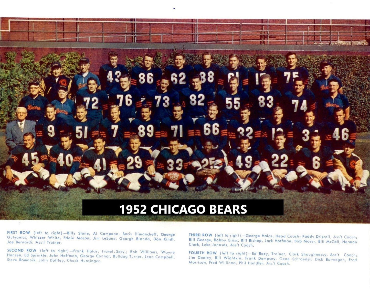 1952 Chicago Bears Team Magnet Football Picture Nfl