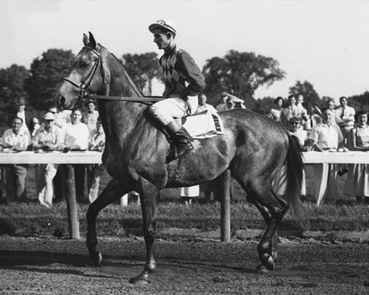 1953 Champion Racehorse Native Dancer Glossy Magnet Eric Guerin Magnet