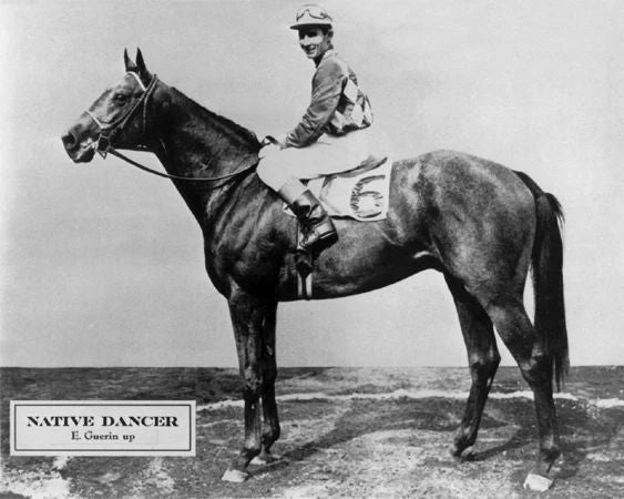 1953 Champion Racehorse Native Dancer Glossy Magnet Thoroughbred Print