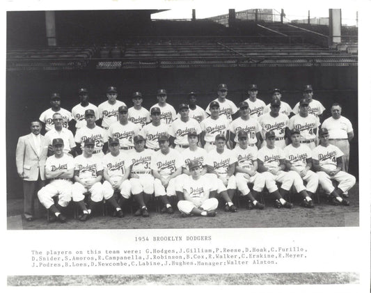 1954 Brooklyn Dodgers Team Photo Baseball Mlb Picture 300 Piece Jigsaw Puzzle