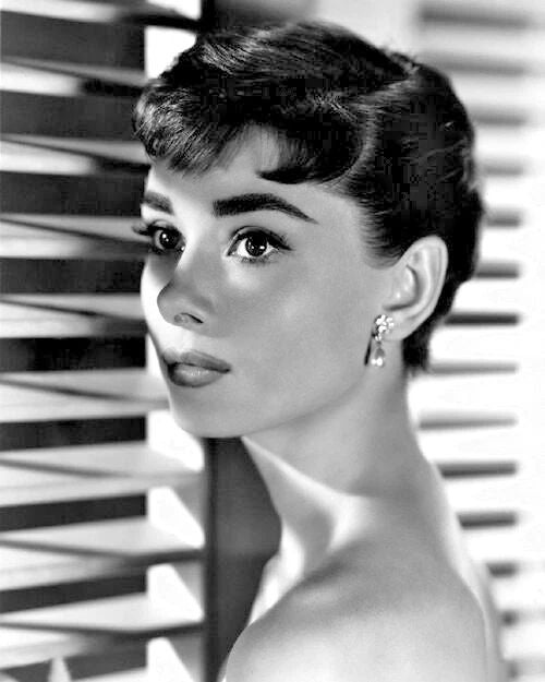 1954 Movie Film Actress Audrey Hepburn Glossy Magnet 'Sabrina' Magnet