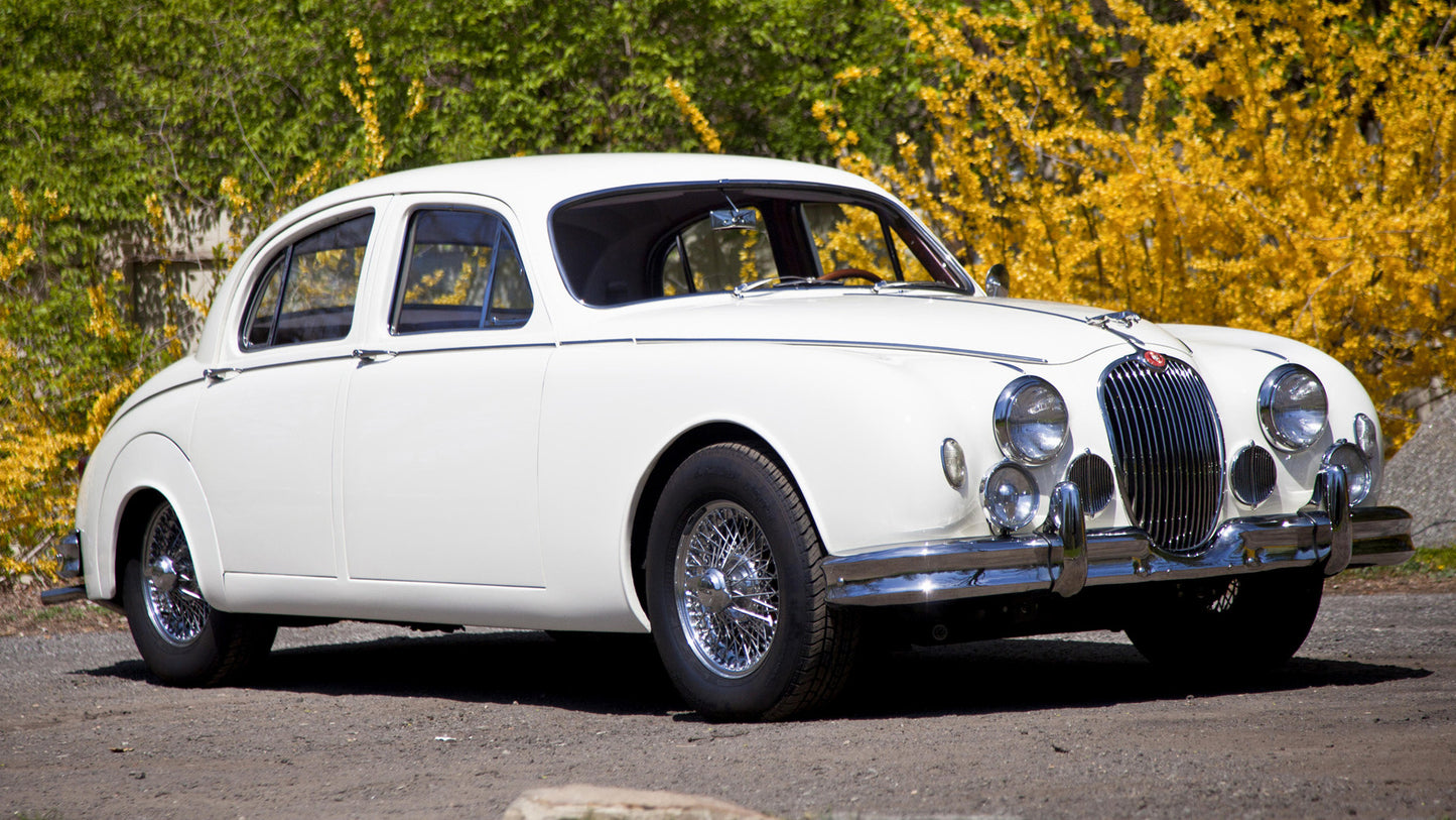 Jaguar Mark Hd Art Jigsaw Puzzle