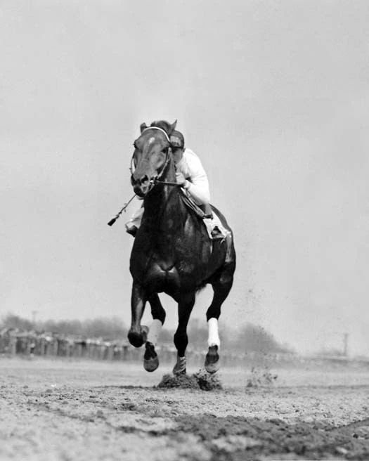 1955 Champion Racehorse Nashua Glossy Magnet Print Eddie Arcaro Magnet 1
