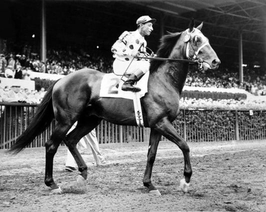 1955 Champion Racehorse Nashua Glossy Magnet Print Eddie Arcaro Magnet 2
