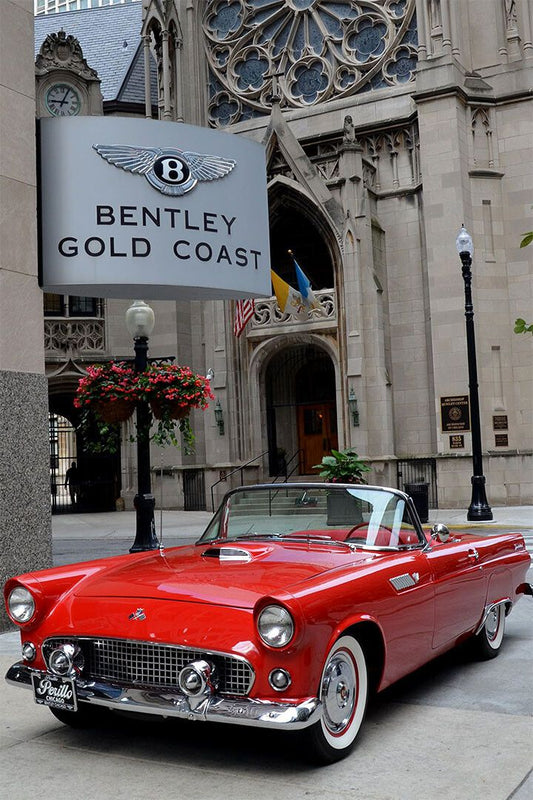 1955 Ford Thunderbird Convertible Red Picture Jigsaw Puzzle