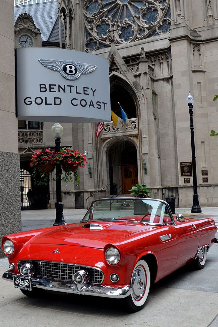 1955 Ford Thunderbird Convertible Red Picture Magnet