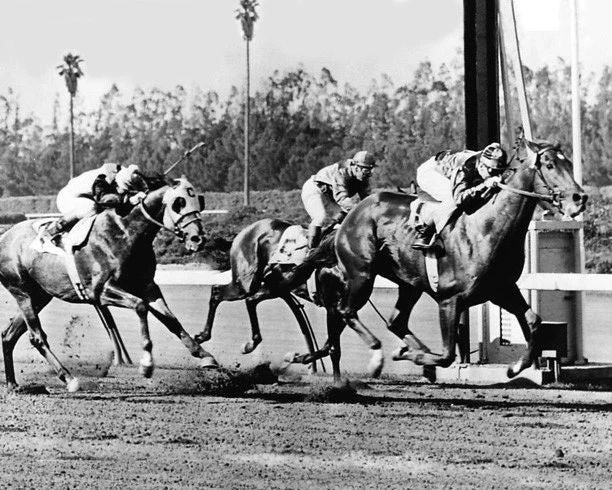 1955 Racehorses Swaps Vs Nashua Glossy Magnet Kentucky Derby Bill Shoemaker