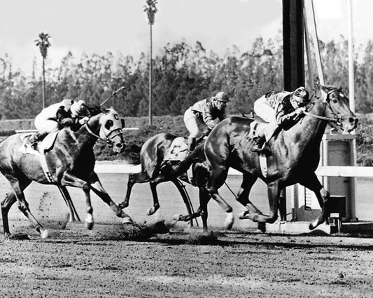 1955 Racehorses Swaps Vs Nashua Glossy Magnet Kentucky Derby Bill Shoemaker