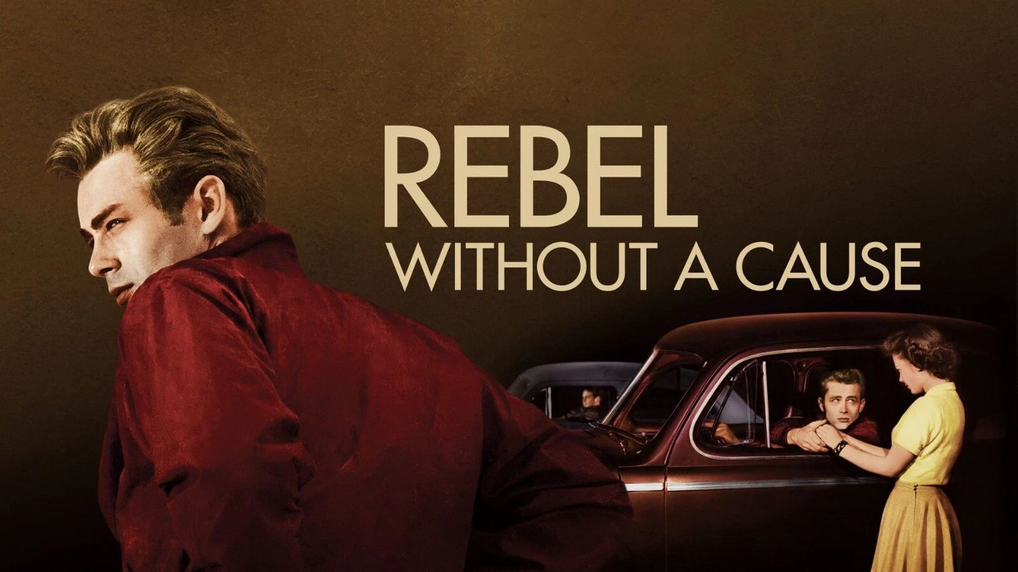 1955 Rebel Without A Cause Movie Magnet James Dean Natalie Wood