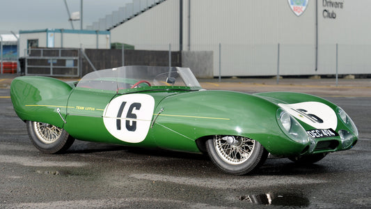 Lotus Eleven Hd Art Print Poster
