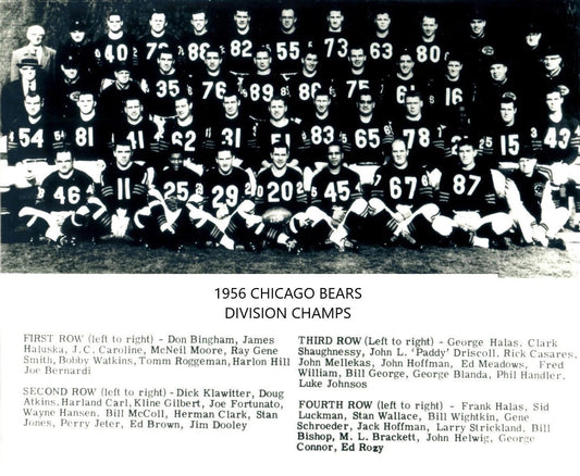 1956 Chicago Bears Team Photo Football Nfl Picture Western Champs