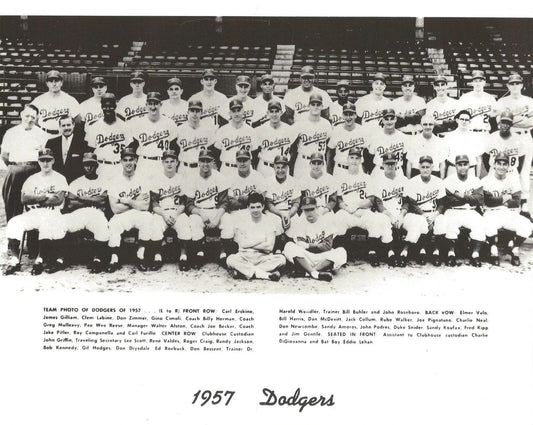 1957 Brooklyn Dodgers Team Photo Baseball Picture Mlb