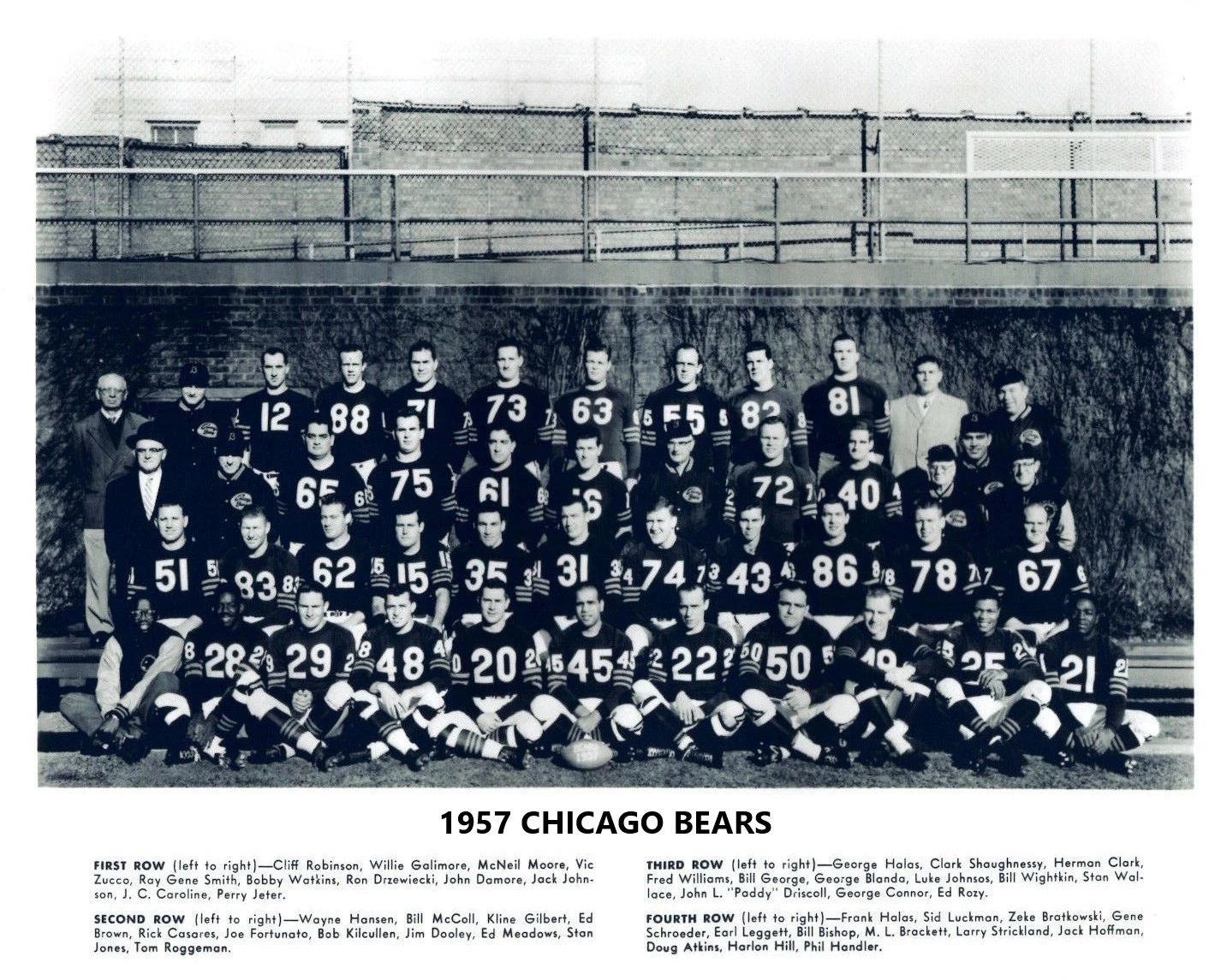 1957 Chicago Bears Team Photo Football Nfl Picture