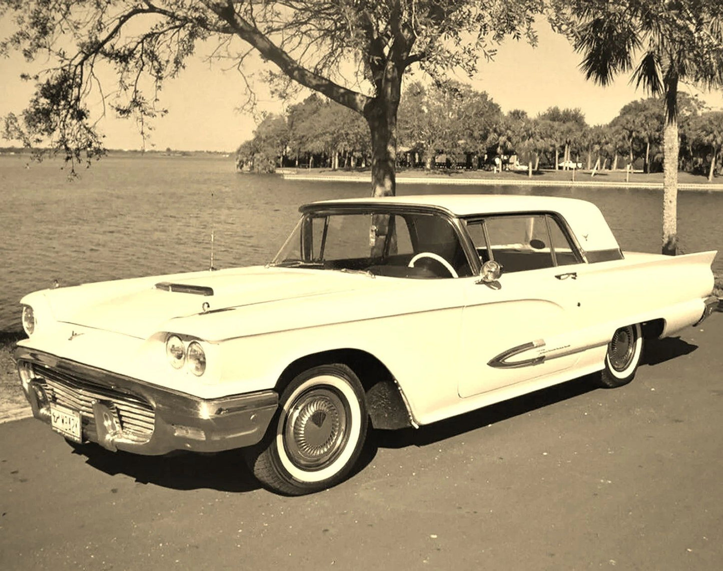 1959 Ford Thunderbird Classic Retro Vintage American Car Picture Photo