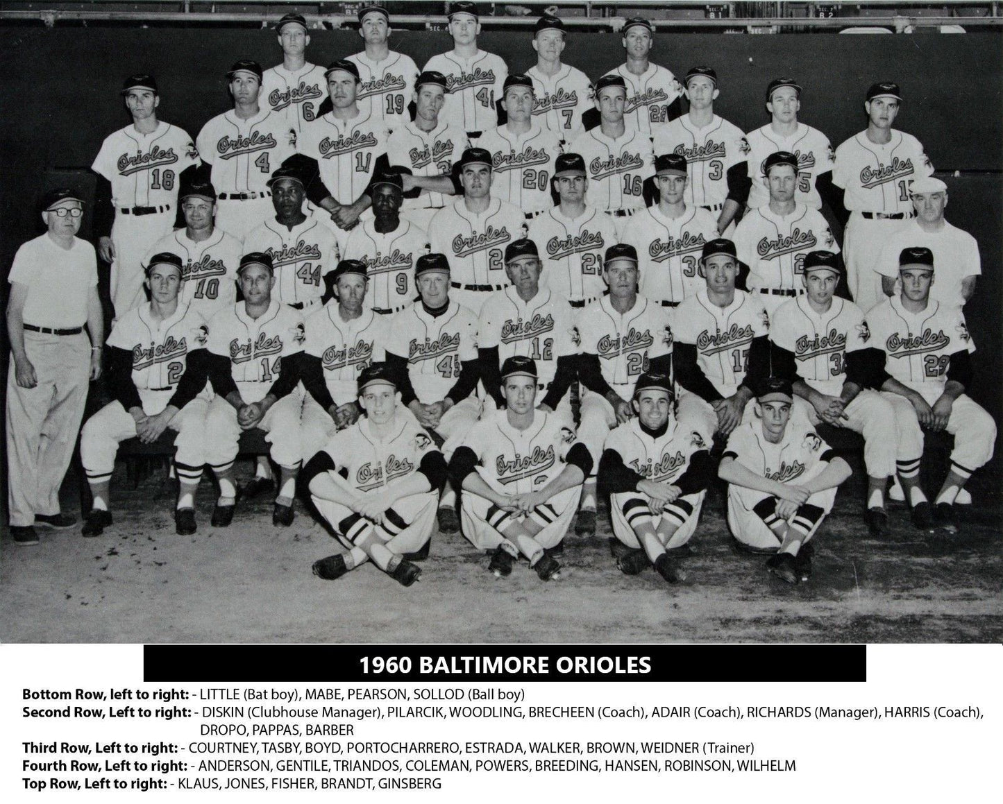 1960 Baltimore Orioles Team Photo Baseball Mlb Picture O'S
