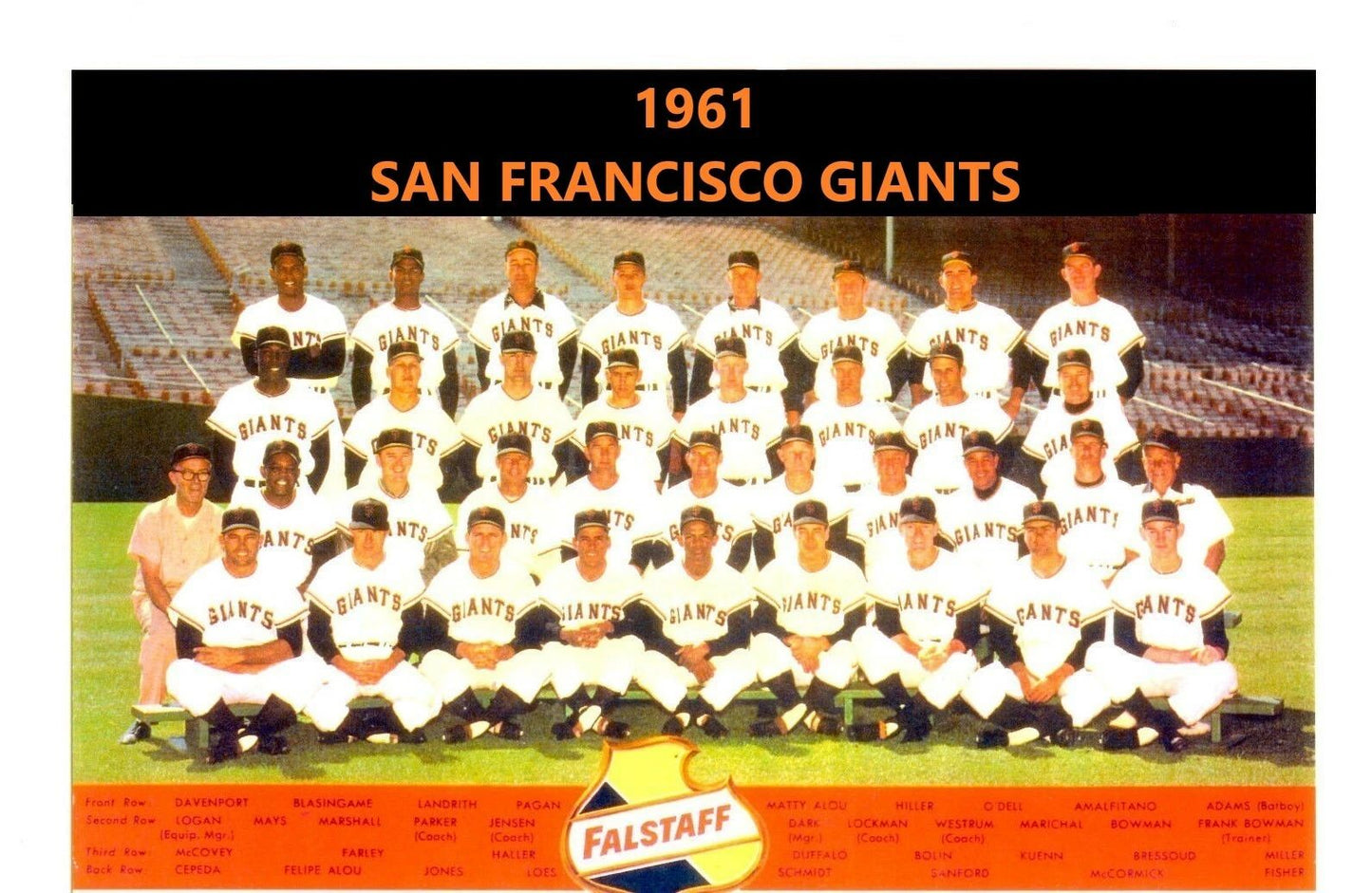 1961 San Francisco Giants Team Photo Baseball Mlb 300 Piece Jigsaw Puzzle