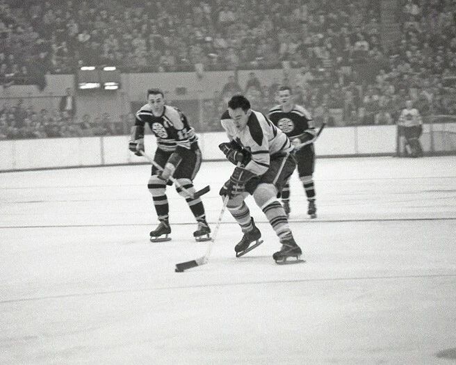 1961 Toronto Maple Leafs Frank Mahovlich Glossy Photo Print Hockey Poster