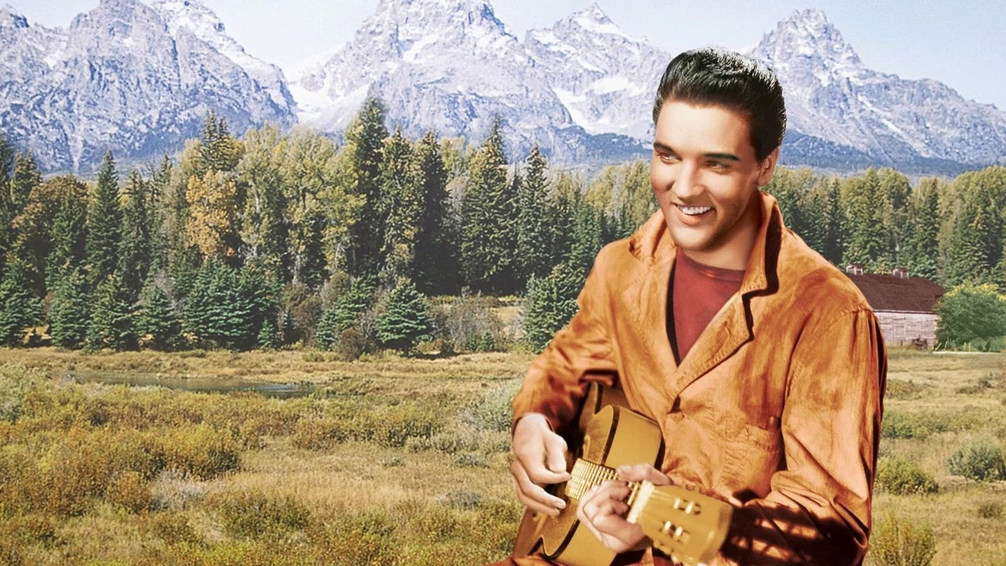 1961 Wild In The Country Movie Magnet Elvis Presley Hope Lange