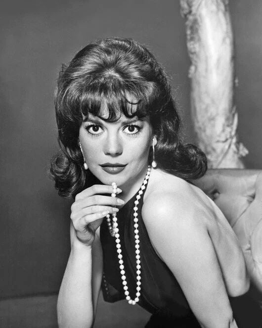 1962 Film Actress Natalie Wood Magnet 'Gypsy' Magnet Glossy Print