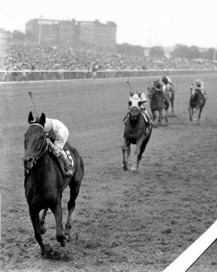 1962 Great American Racehorse Kelso Glossy Magnet Print Woodward Race Winner
