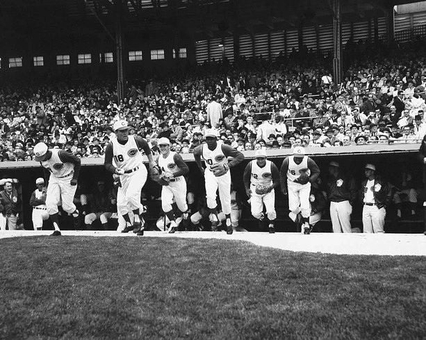 1963 Cincinnati Reds Crosley Field Glossy Opening Day Photo Pete Rose Print