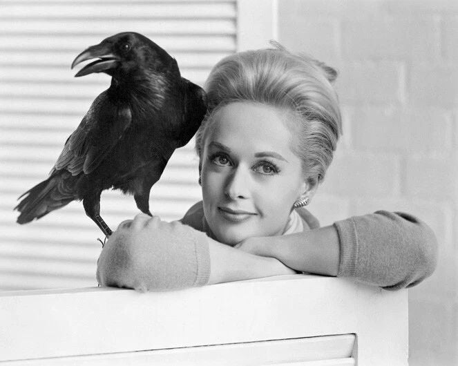 1963 Film Actress Tippi Hedren Glossy Magnet The Birds Magnet Movie Print