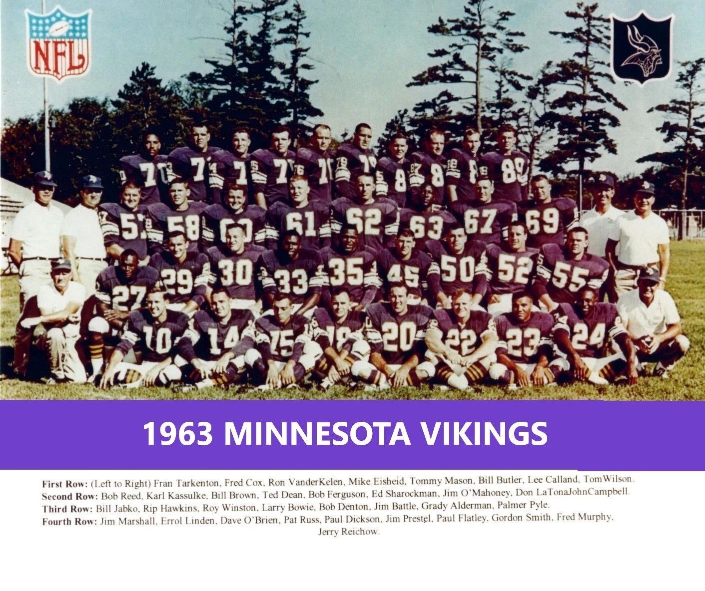 1963 Minnesota Vikings Team Photo Football Picture Nfl