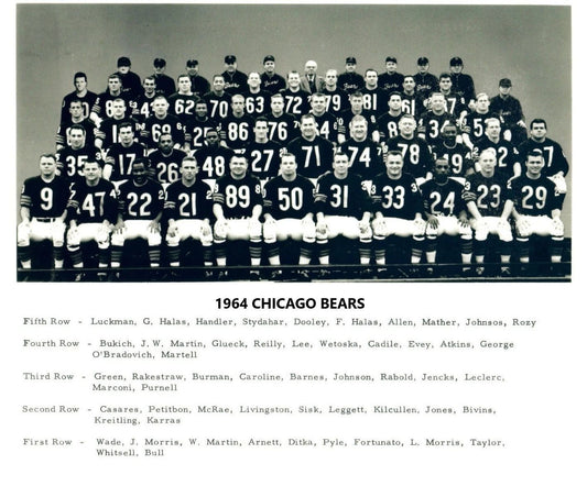 1964 Chicago Bears Team Magnet Football Picture Nfl