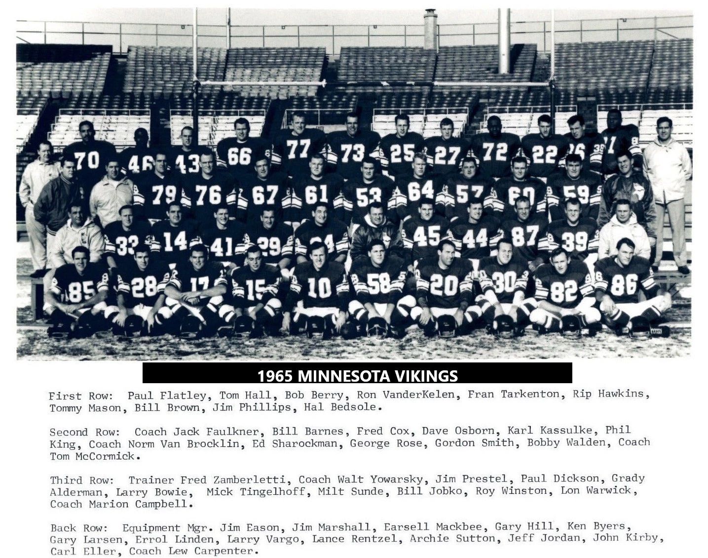 1965 Minnesota Vikings Team Photo Football Nfl Picture Bw