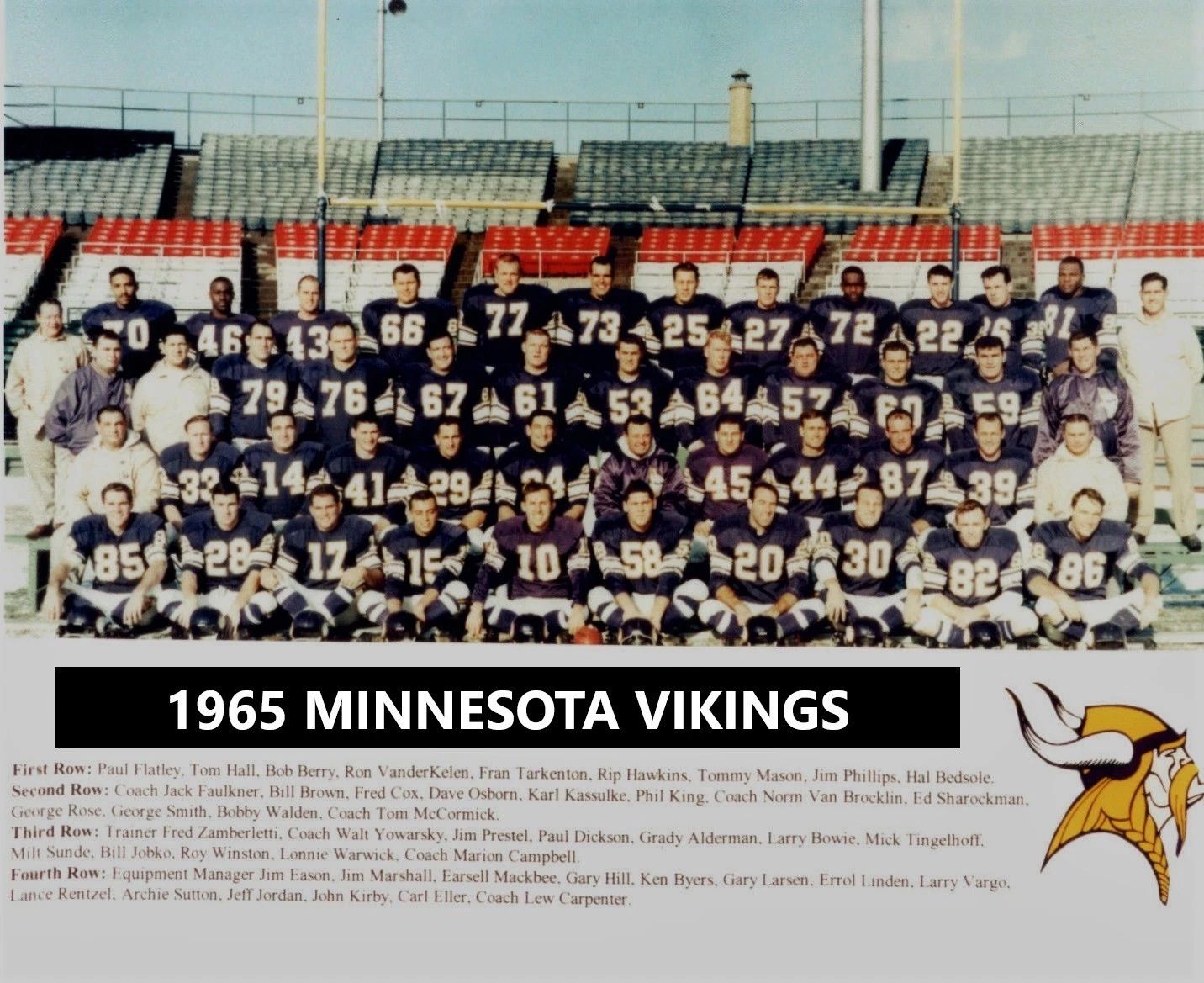 1965 Minnesota Vikings Team Photo Football Nfl Picture