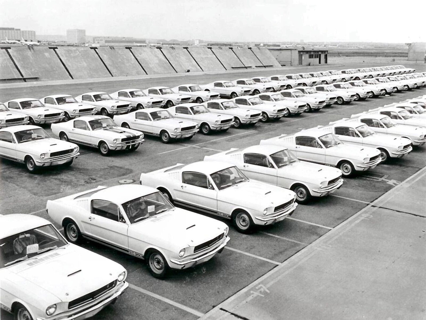 1965 Shelby Ford Mustang Gt 350S Classic Sports Car On The Lot Picture Photo