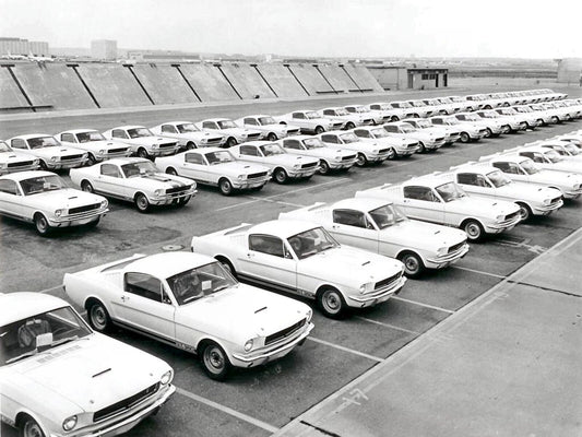 1965 Shelby Ford Mustang Gt 350S Classic Sports Car On The Lot Picture Photo