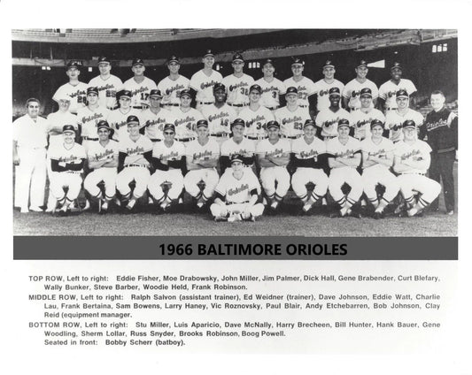 1966 Baltimore Orioles Team Magnet Baseball Picture O'S Mlb