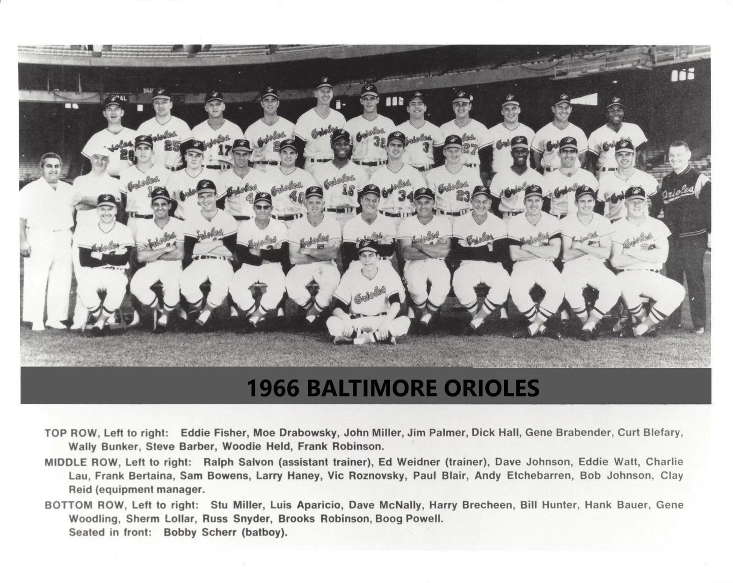 1966 Baltimore Orioles Team Photo Baseball Picture O'S Mlb